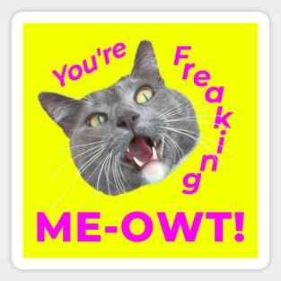 You're Freaking MEOWT! Magnet